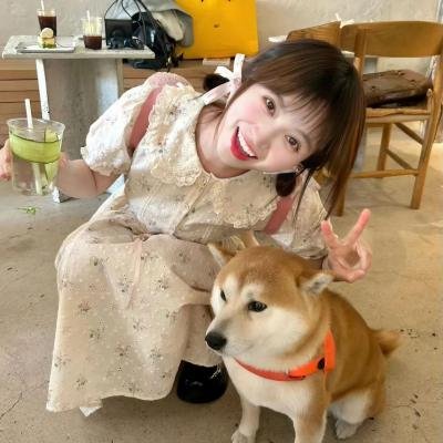 我们恋爱的履历